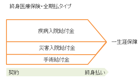 終身医療保険全期払いの説明図