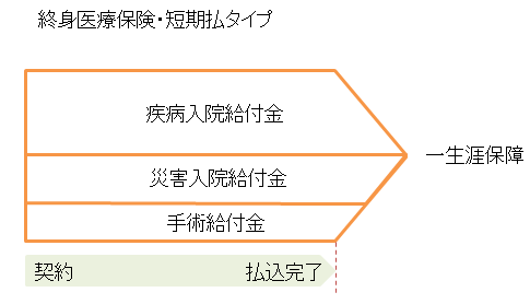 終身医療保険短期払いの説明図