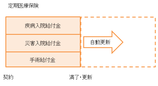 定期医療保険の説明図