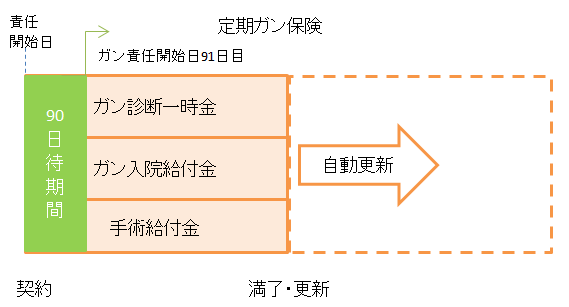 定期ガン保険の説明図