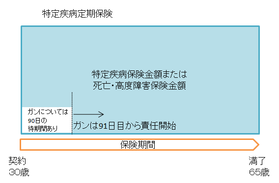 三大疾病定期保険１の説明図