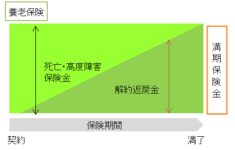 保険 養老 No.5360 養老保険の保険料の取扱い（令和元年7月8日前契約分）｜国税庁